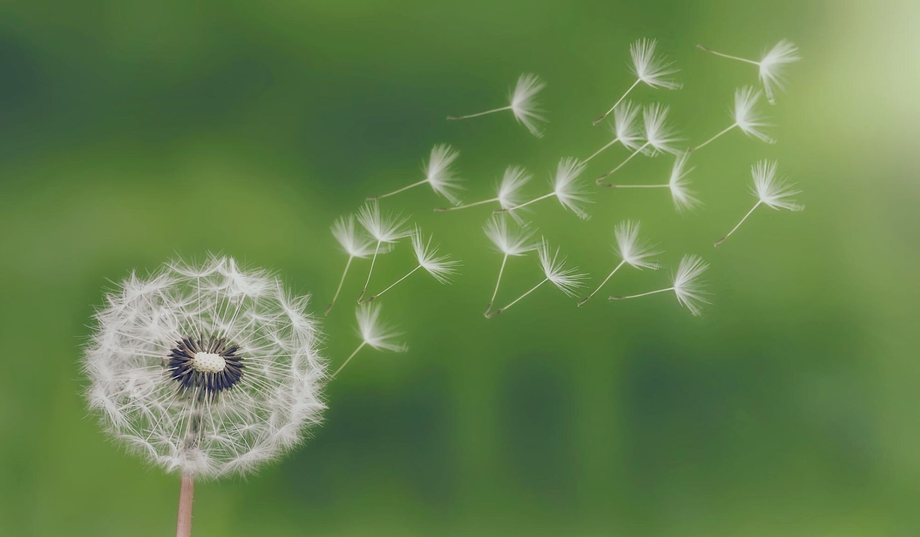 「捨.得」 薩提爾模式進階個人成長體驗工作坊